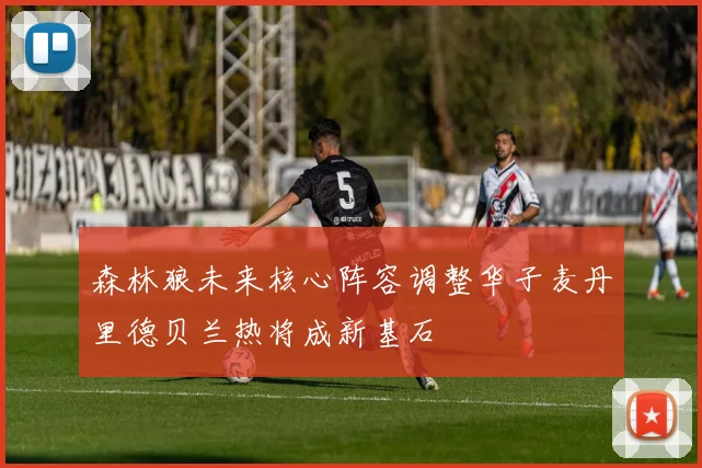 森林狼未来核心阵容调整华子麦丹里德贝兰热将成新基石